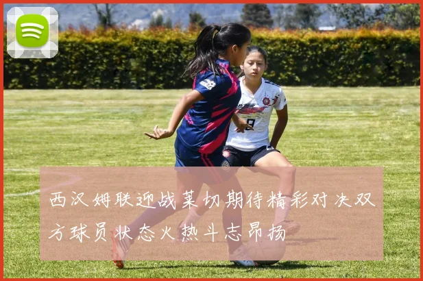 西汉姆联迎战莱切期待精彩对决双方球员状态火热斗志昂扬